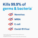 Clorox Disinfecting Liquid Bleach, Regular Scent 81 fl oz